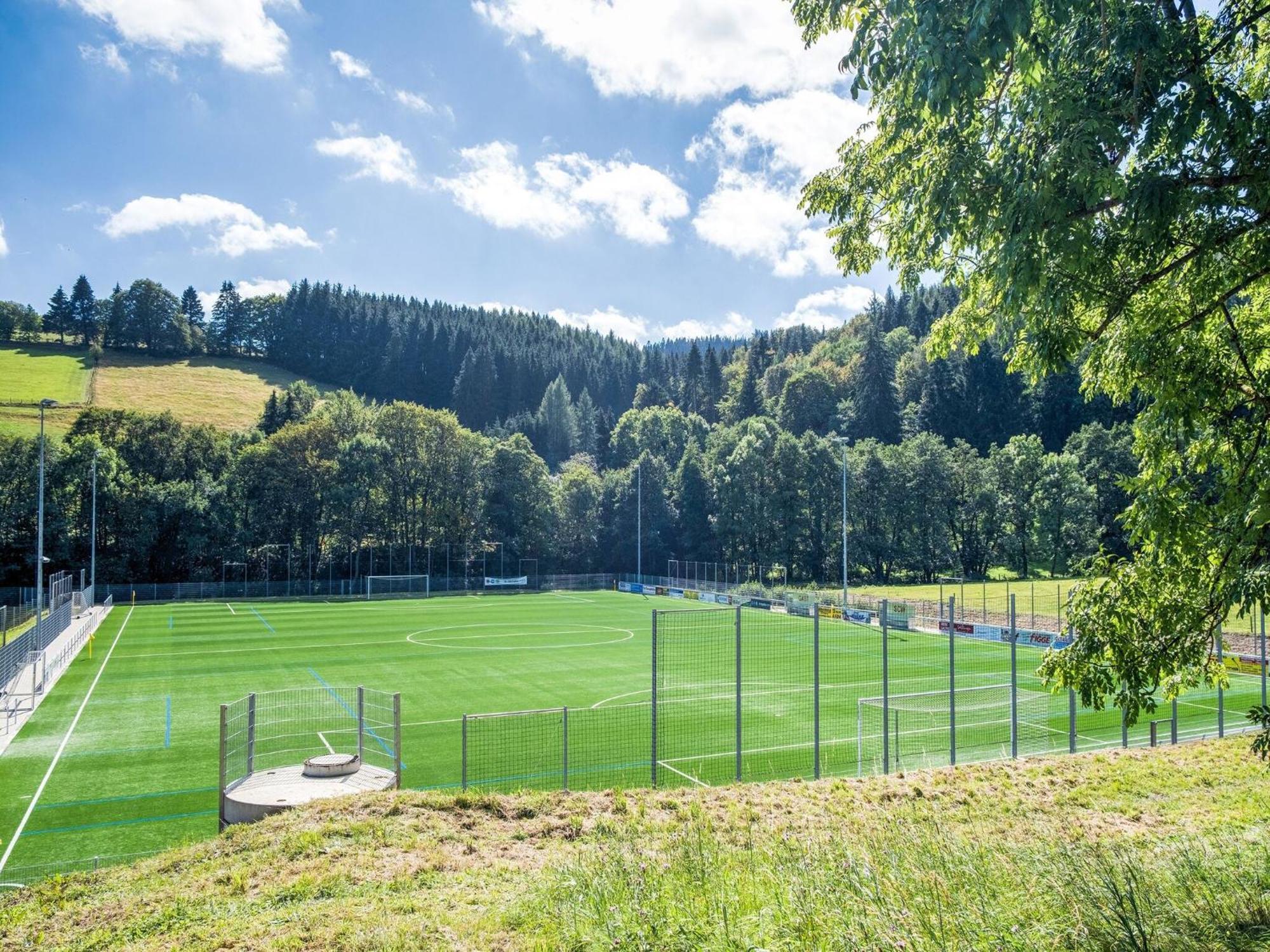 Modern Apartment In Schwalefeld With Garden Willingen  Extérieur photo