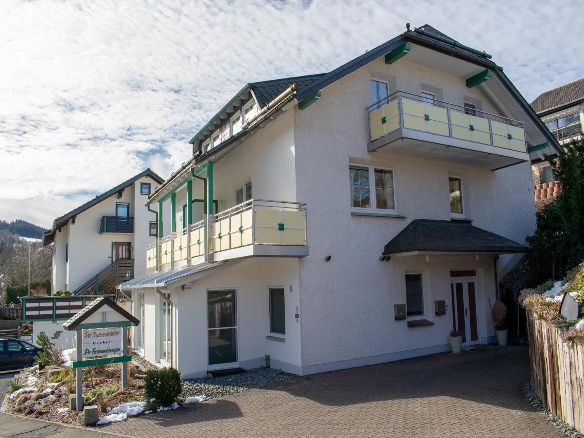 Modern Apartment In Schwalefeld With Garden Willingen  Extérieur photo