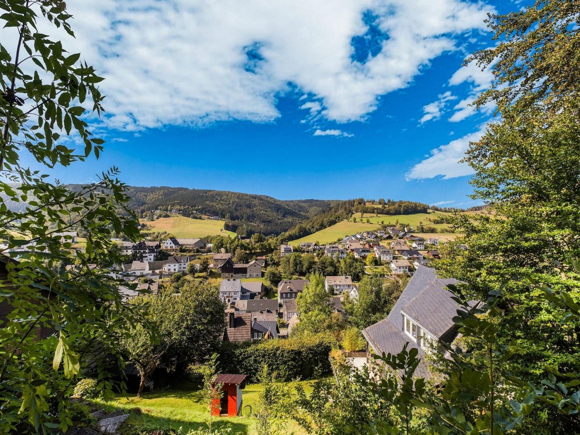 Modern Apartment In Schwalefeld With Garden Willingen  Extérieur photo