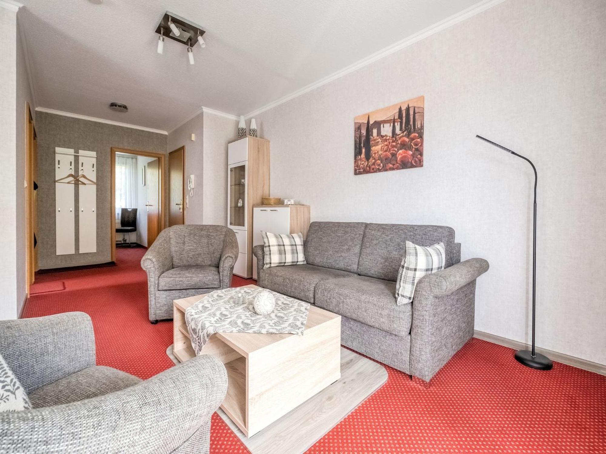 Modern Apartment In Schwalefeld With Garden Willingen  Extérieur photo