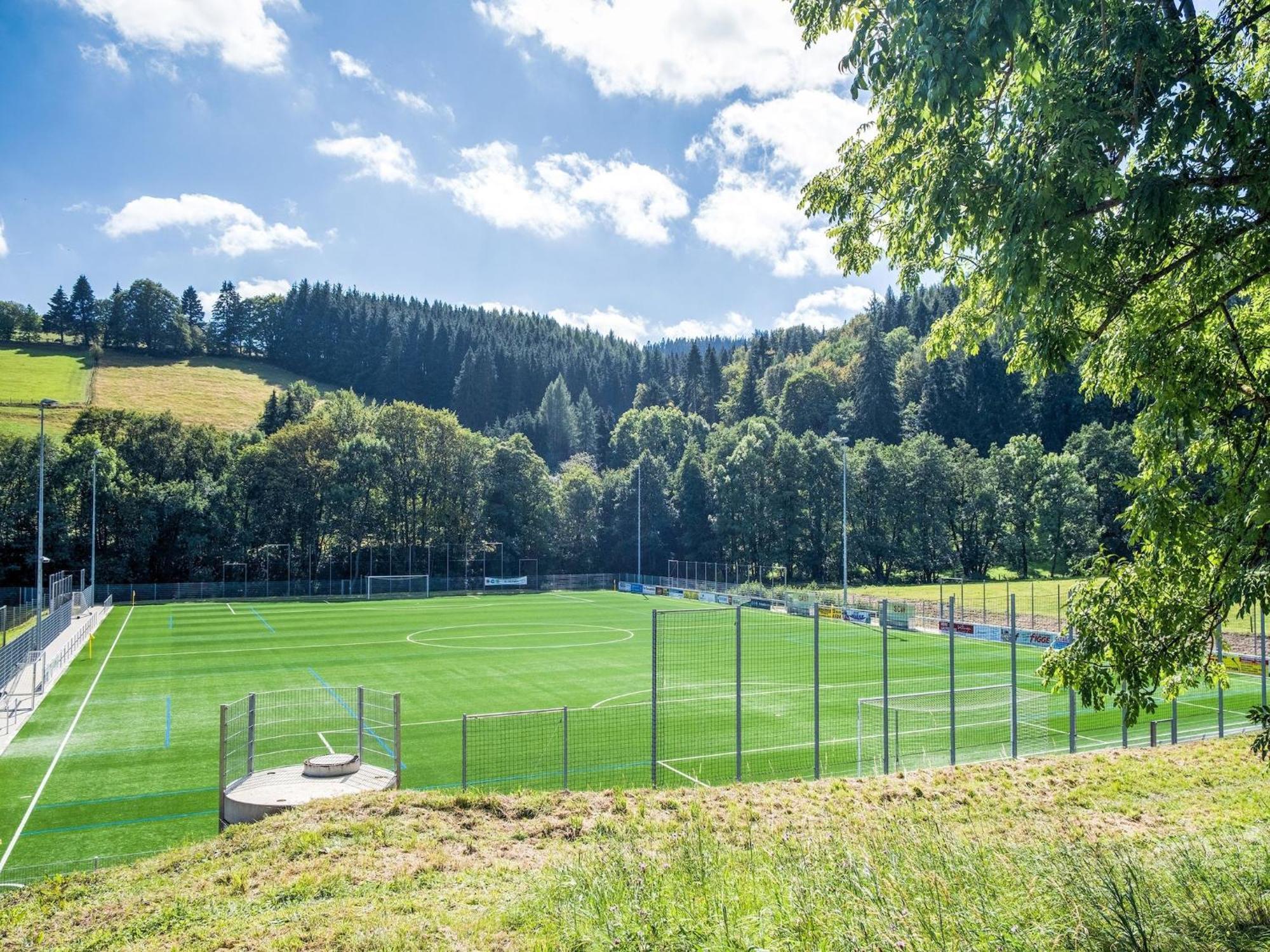 Modern Apartment In Schwalefeld With Garden Willingen  Extérieur photo